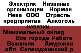 Электрик › Название организации ­ Норман-Нева, ООО › Отрасль предприятия ­ Алкоголь, напитки › Минимальный оклад ­ 35 000 - Все города Работа » Вакансии   . Амурская обл.,Селемджинский р-н